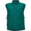 8968754888734-03030024_BEAVER_vest_green_CERVA CERVENEC 2020_12441.tif.png